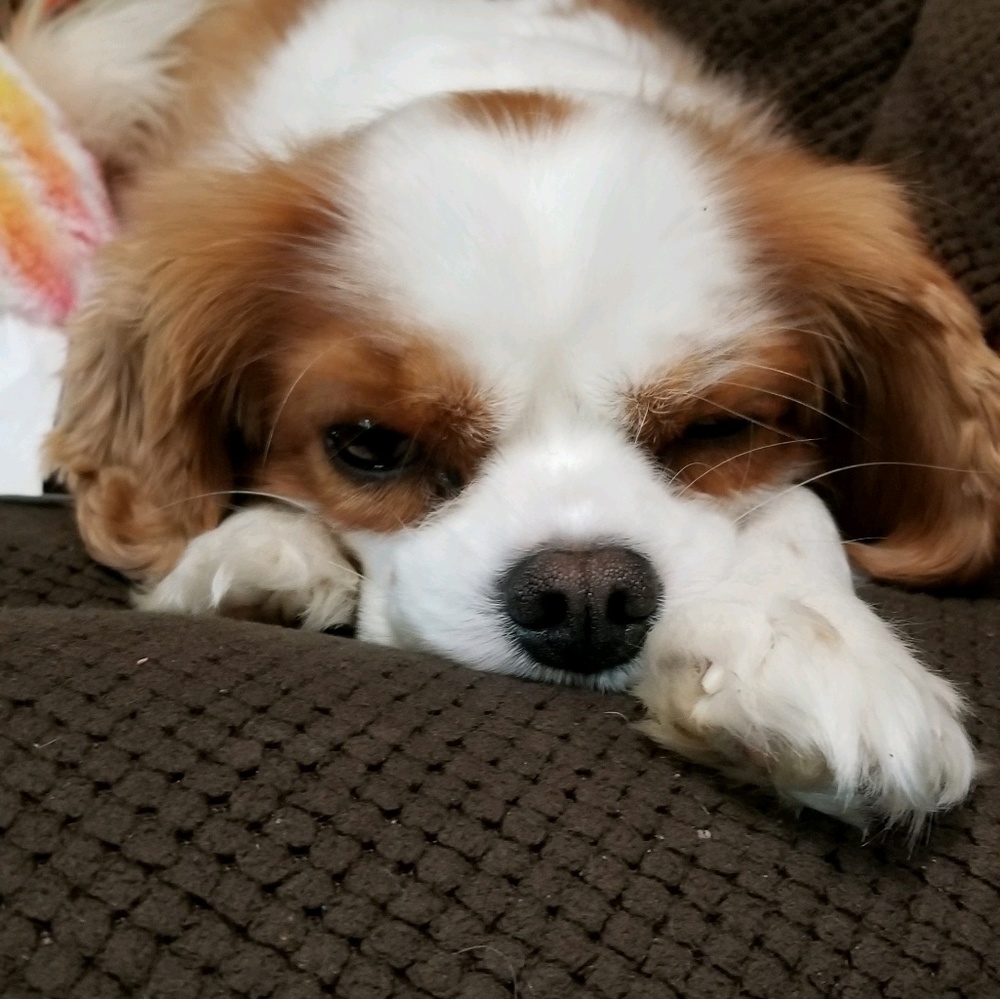 Meet your Posher, Teri